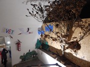 Výlet Dobrovice  Ptačí svět